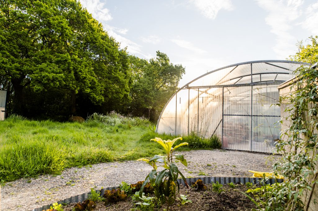 serre Pause Verte dans le Cotentin