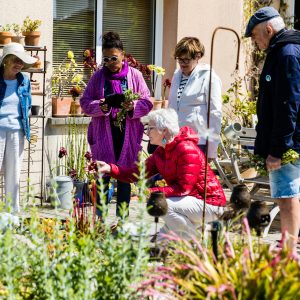 Week-end au Jardin Chou
