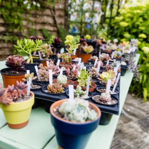 Campagn'Art à Fermanville